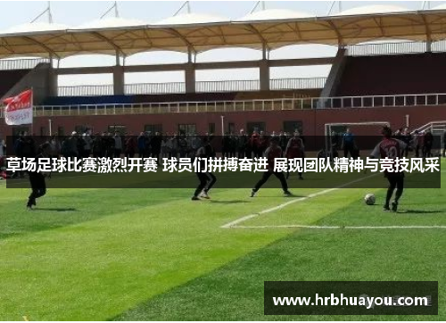 草场足球比赛激烈开赛 球员们拼搏奋进 展现团队精神与竞技风采