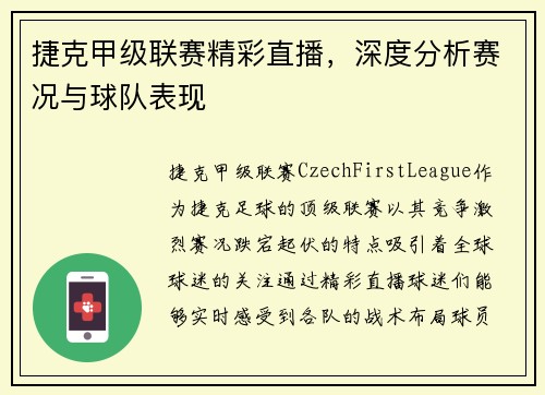 捷克甲级联赛精彩直播，深度分析赛况与球队表现