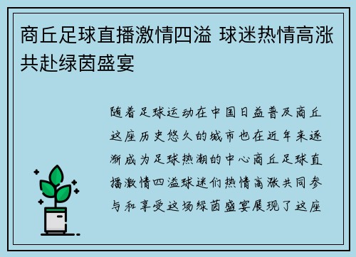 商丘足球直播激情四溢 球迷热情高涨共赴绿茵盛宴